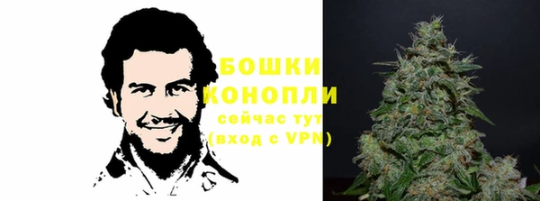 тгк Вяземский
